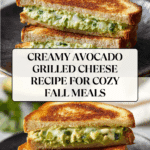 Creamy Avocado Grilled Cheese Recipe