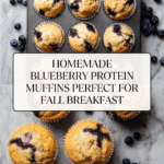 Homemade Blueberry Protein Muffins Recipe