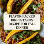 The Best Birria Tacos Recipe
