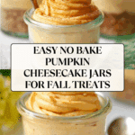 No Bake Pumpkin Cheesecake Recipe
