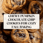 ent Chewy Pumpkin Chocolate Chip Cookies Recipe