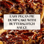 Pecan Pie Dump Cake Recipe