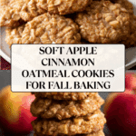 Apple Cinnamon Oatmeal Cookies Recipe
