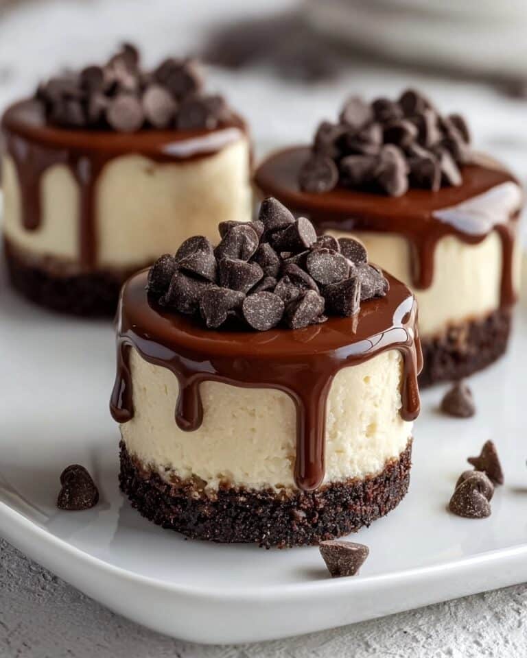 Brownie Bottom Mini Cheesecakes Recipe
