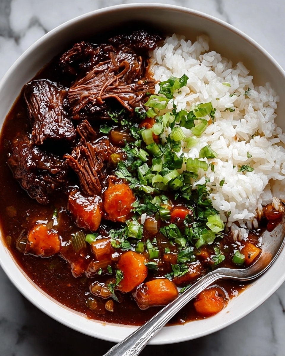 A white bowl holds a layered dish starting with a base of fluffy white rice on one side, topped with chopped green onions. Next to the rice are pieces of tender, shredded dark brown beef with a shiny, rich sauce covering them. On the other side of the bowl, there is a thick, dark brown stew with visible chunks of orange carrots and small pieces of onions, garnished generously with fresh green herbs and more chopped green onions. A silver spoon rests inside the bowl, partially submerged in the stew on the right side. The bowl is placed on a white marbled surface. photo taken with an iphone --ar 4:5 --v 7