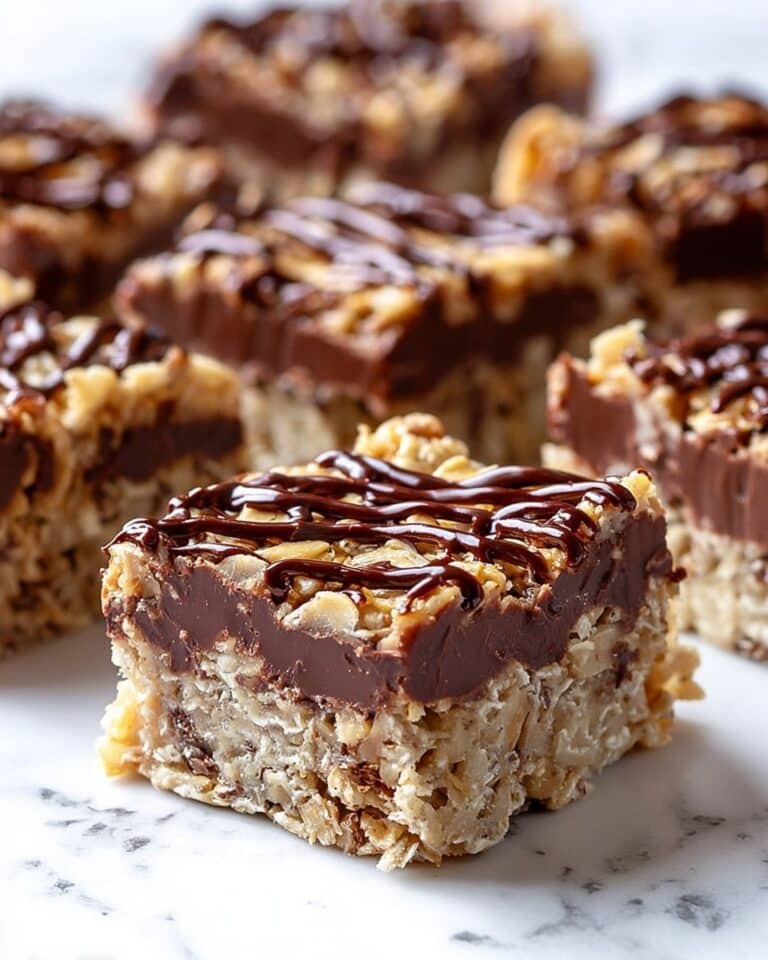 No Bake Chocolate Oatmeal Bars Recipe
